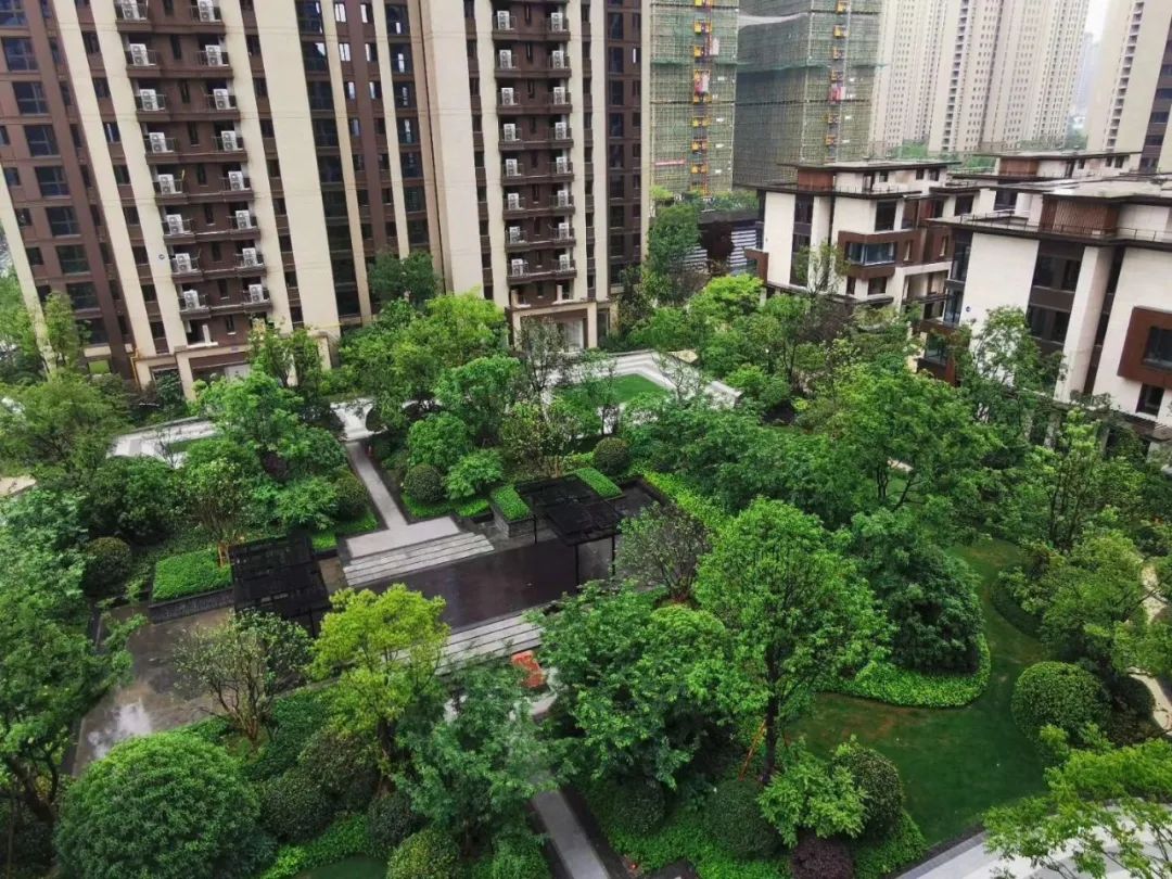 以租养贷每月还2000,以贷养贷一个月需还2万怎么办