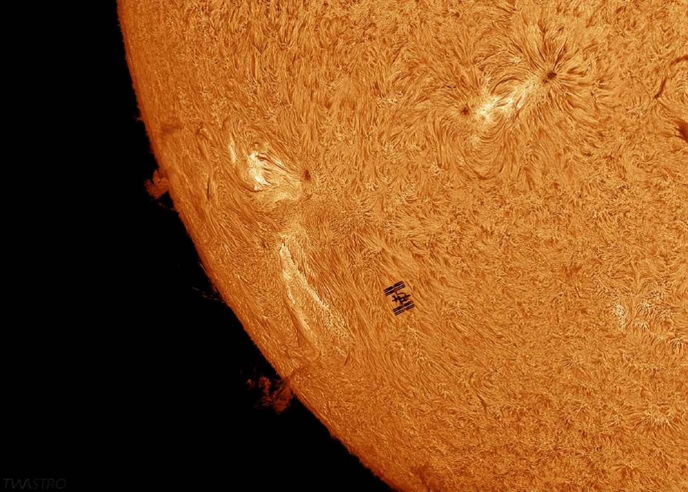 [图说天下]指鼠为鸭（06.17）