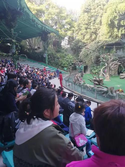 广州长隆野生动物世界有大象吗,广州长隆野生动物世界有多少动物