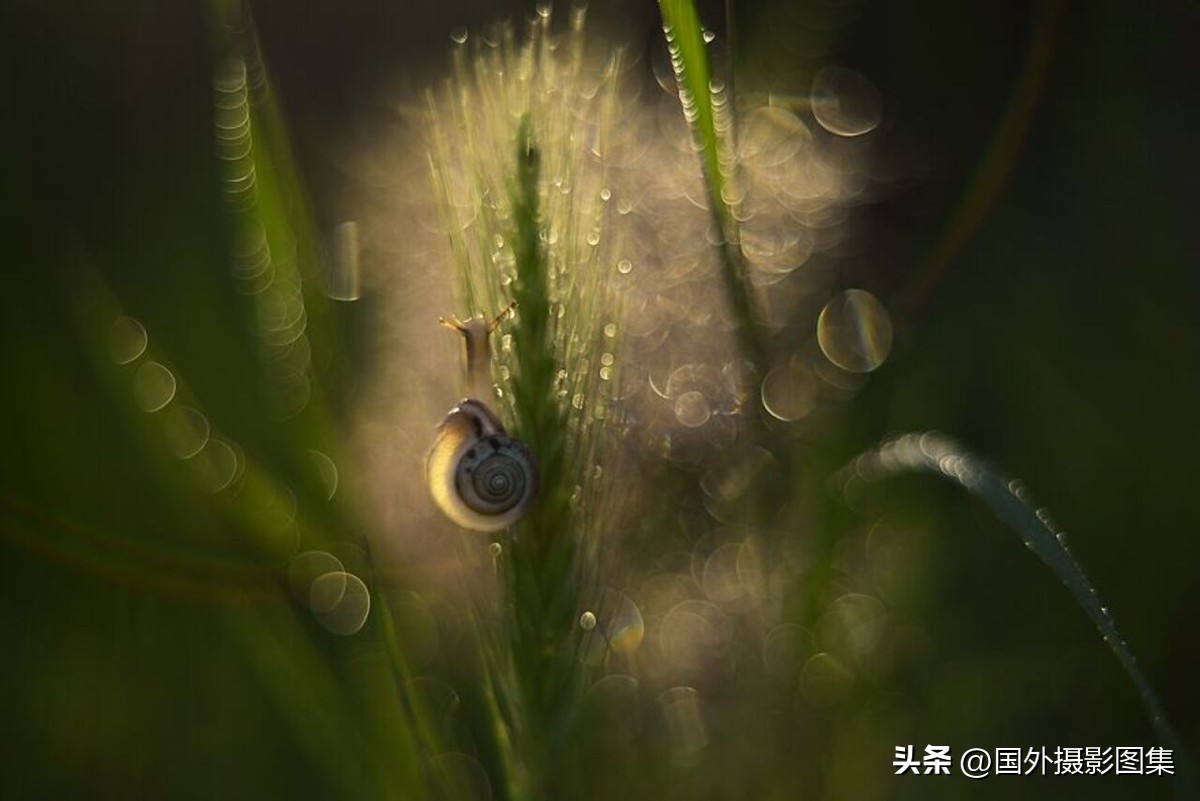 秋天最美大自然图片,春天最美的三十六张照片