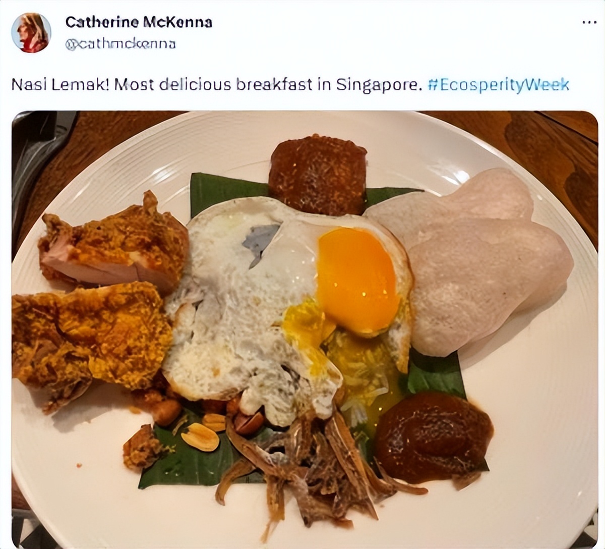 新加坡与马来西亚椰浆饭,新加坡kovan椰浆饭