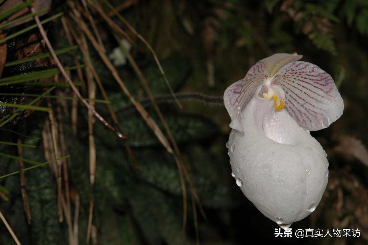 中科院在读博士专业冷门怎么就业,中科院冷门专业