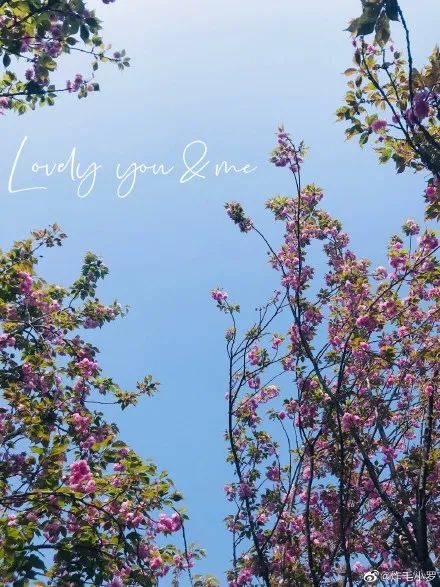 世界级的赏樱花的地方原来在这里,赏樱花的地方都在哪里