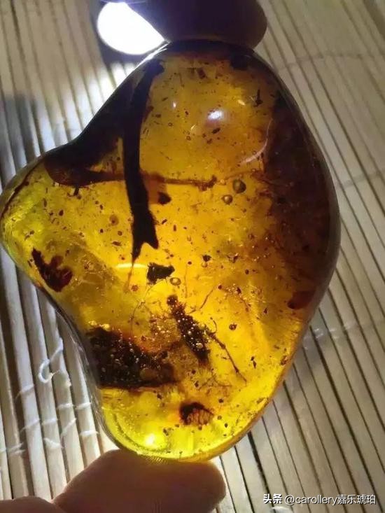 小琥珀嵌在煤精里,这块琥珀的科学价值是什么