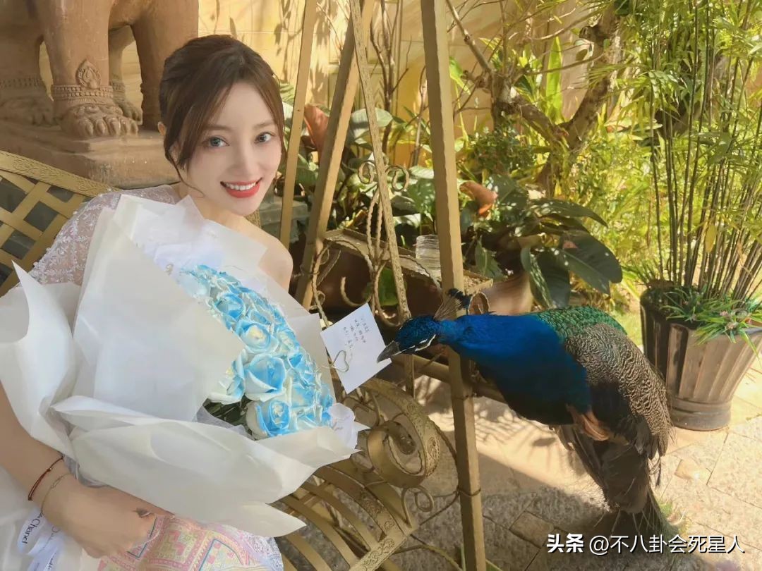 贾乃亮回应往事完整视频,贾乃亮致歉视频大全