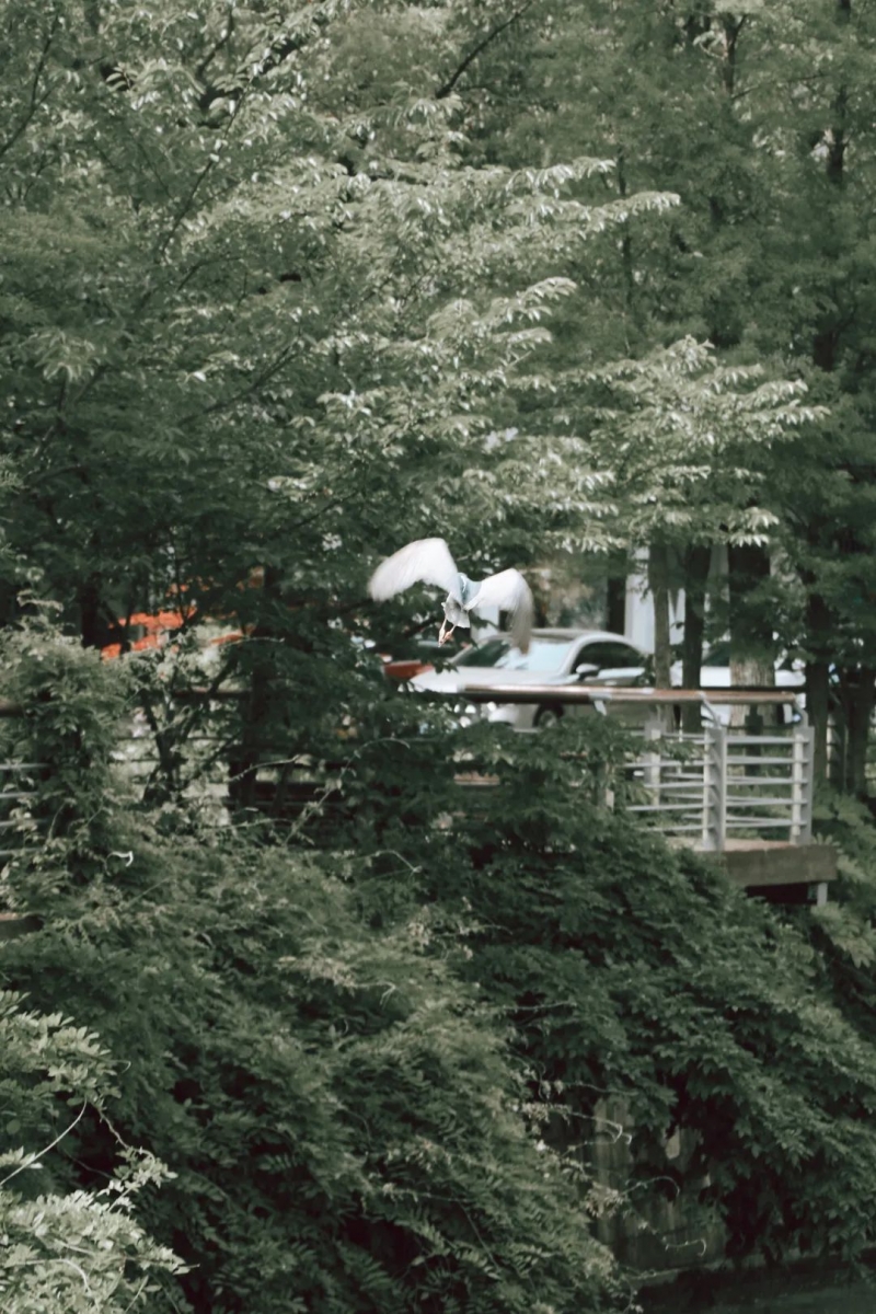 《张家港》，一部自带热度的电影