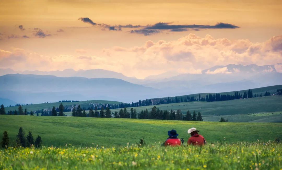 那拉提空中草原雪景照片,大草原的壮丽雪景图