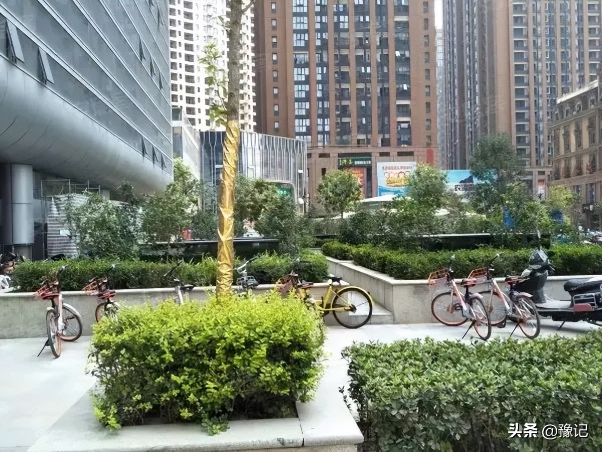 郑州停贷是真的吗,郑州停贷的影响