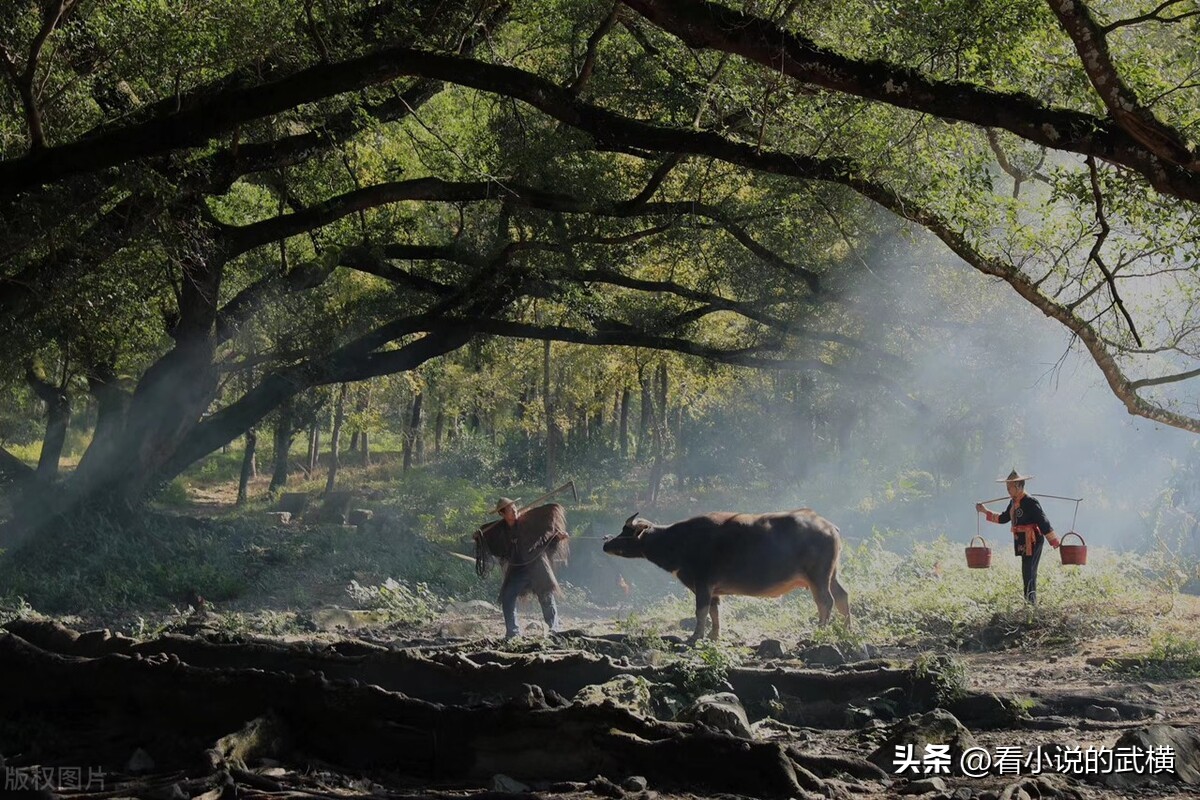末世文中常见的灾难,末世爆发普通人怎么在末世生存