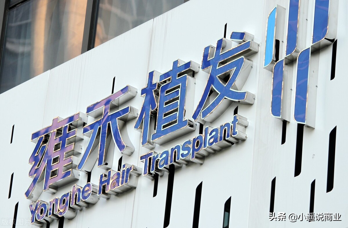 张玉植发,雍禾植发董事长张玉个人身价