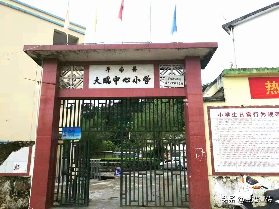 大鹏中心小学温逸宏,大鹏中心小学陈小波