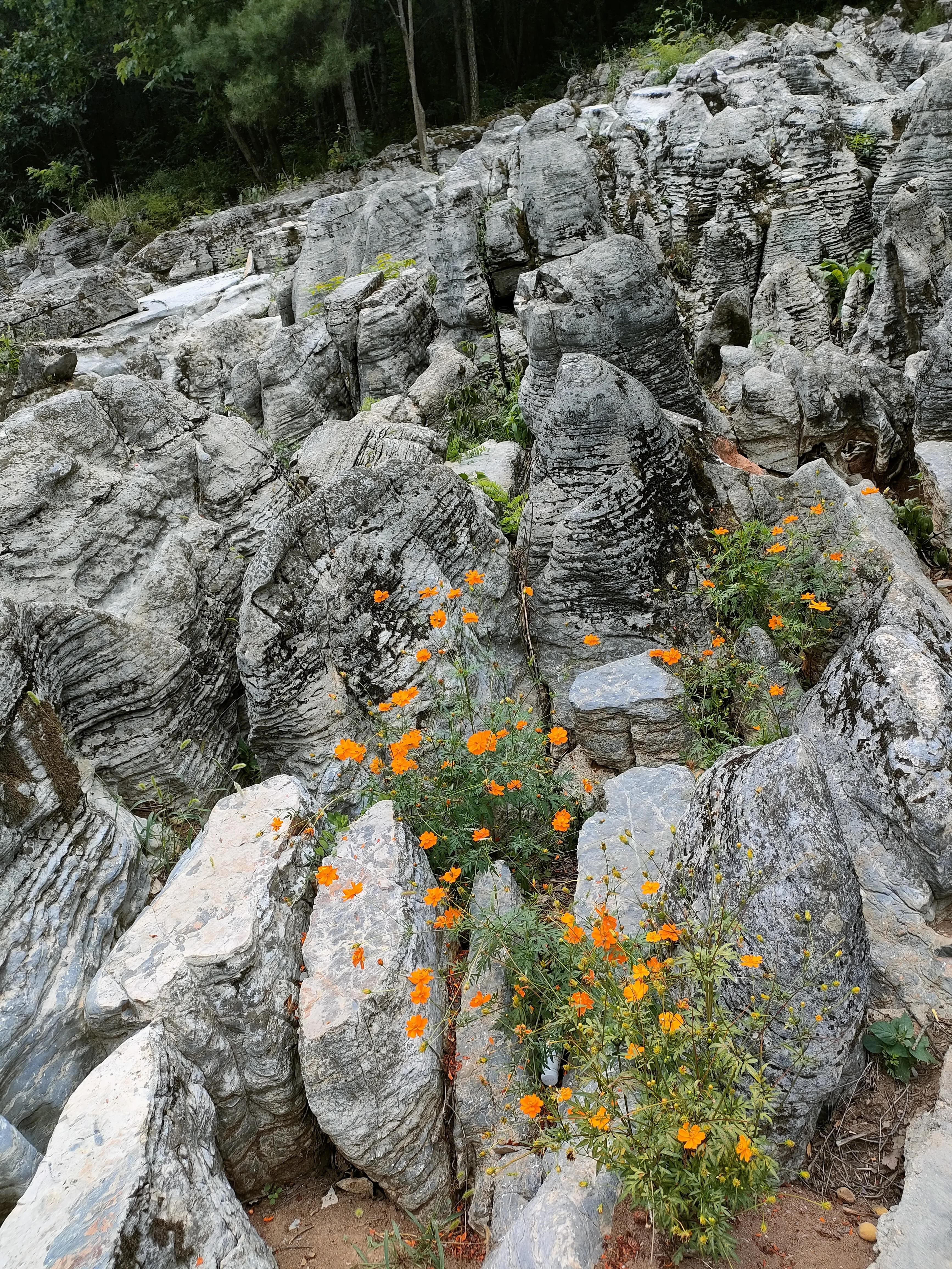 秦岭江山景区怎么样,秦岭江山景区最新通知