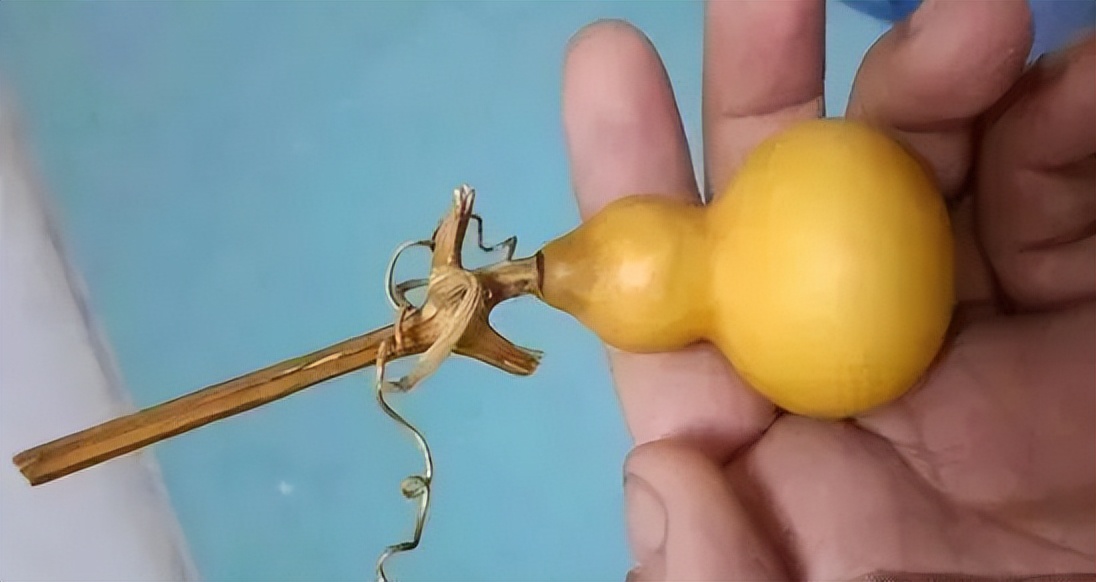 文玩葫芦花了怎么修复,文玩葫芦怎样快速变红