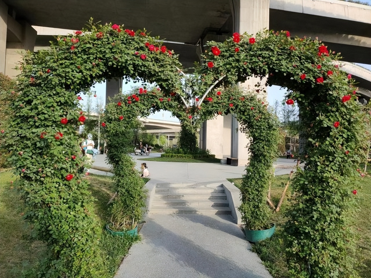 美丽的郑州北龙湖湿地公园,郑州四季如春的公园