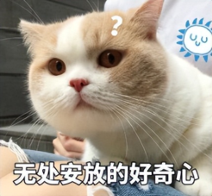 碰到这几种车牌不能碰,国内最不受待见的4种车牌