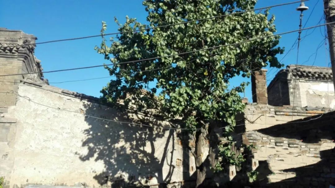 大同古城里有个鹌鹑巷，我记忆中的老邻居，你们如今在哪儿？