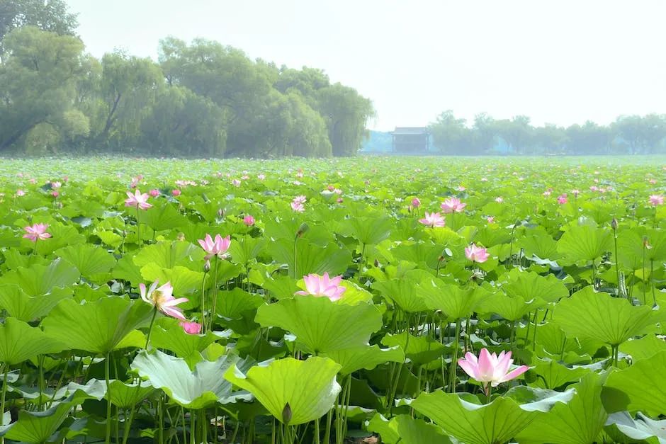 山水田园诗大全和代表诗句,唯美山水田园风光经典古诗词