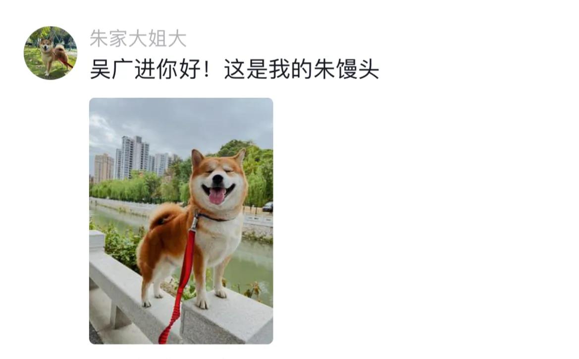 宠物取什么名字好听,取一个宠物名字