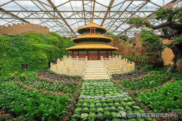 农业发展重点突破,农业创新发展模式