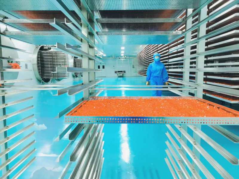 枸杞深加工最权威科研机构,枸杞原浆深加工技术示范