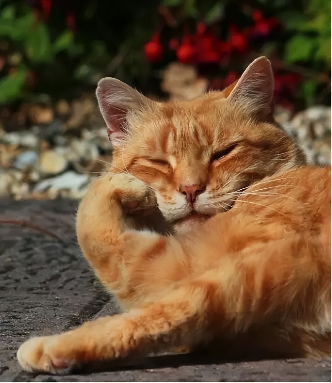 保姆级抠图,保姆级抠图教学