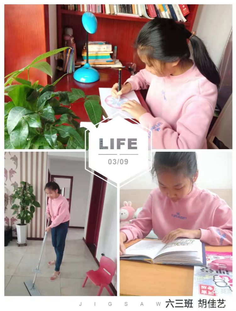 我手写我心为主题的小学作文,小学生作文我手写我心