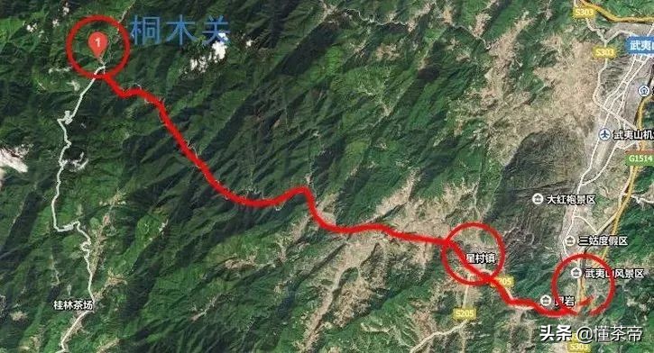 中国四大有名红茶是什么,中国四大红茶最新排名