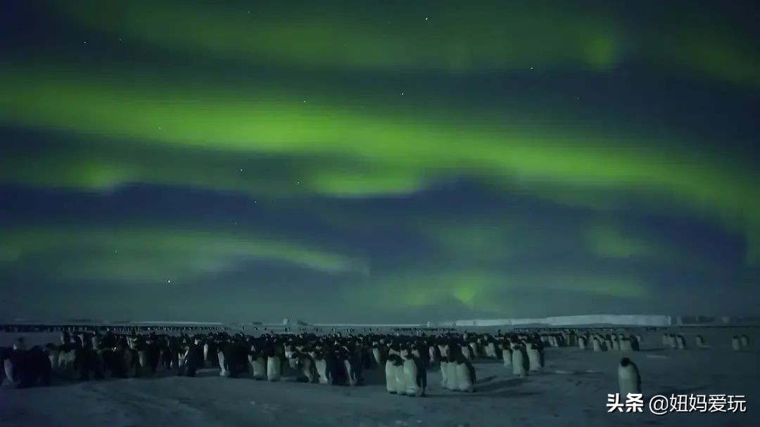 带你真切看人间的宝藏纪录片top10,十一长假适合带孩子看的纪录片