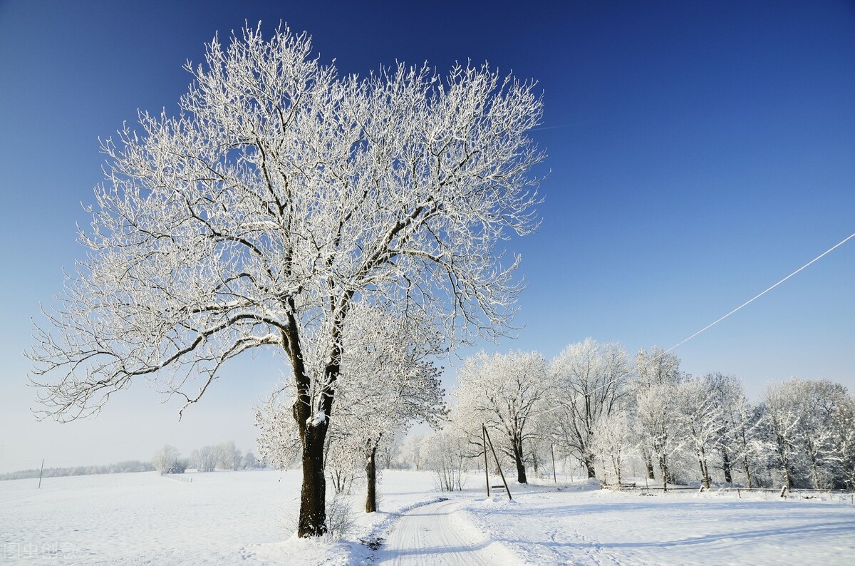 治手脚开裂最好的药,医生教你怎么治疗手脚冰凉