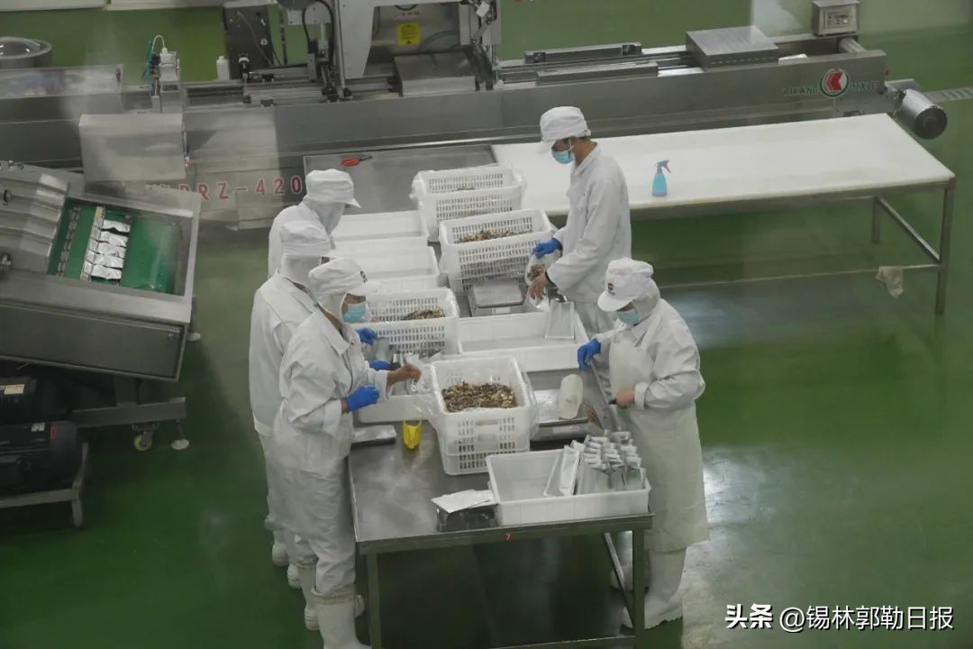 用“快餐”方式吃“硬菜”！锡盟推出200多道预制大餐