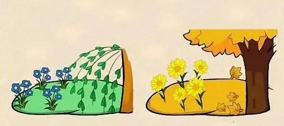 成语解读何不食肉糜,何不食肉糜成语解读