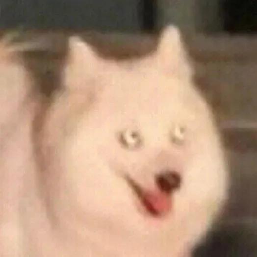 吃瓜群众表情包二次元,吃瓜群众表情包是什么意思