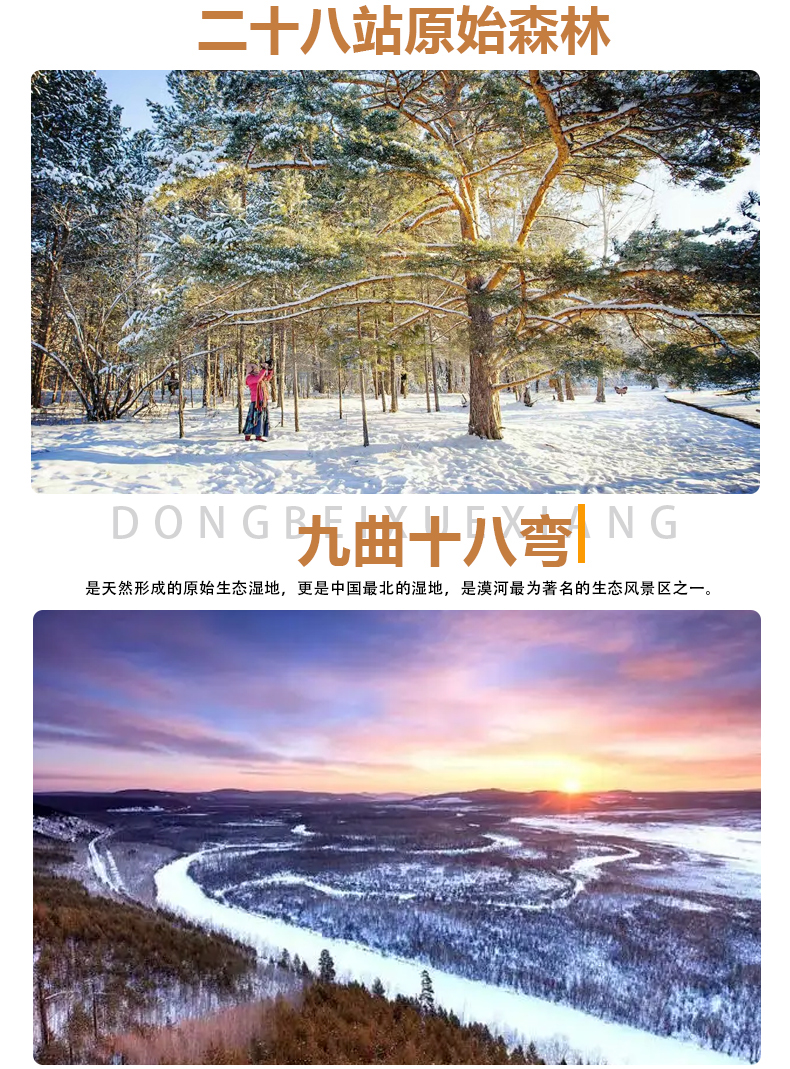 北极漠河冬日游,去漠河看北极光攻略