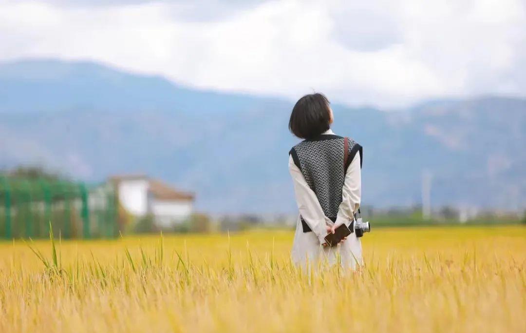 父母去世后，兄弟姐妹最好的相处方式，就是“三七定律”