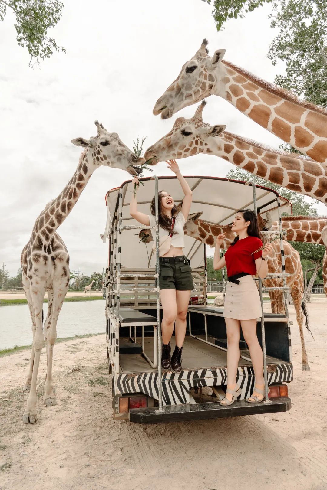 泰国曼谷旅游必去十大景区,泰国野生动物园亲子游