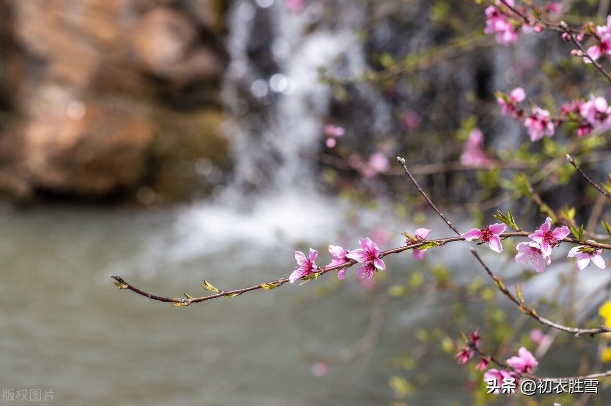 冬天江南七绝诗,冬日江南七绝诗