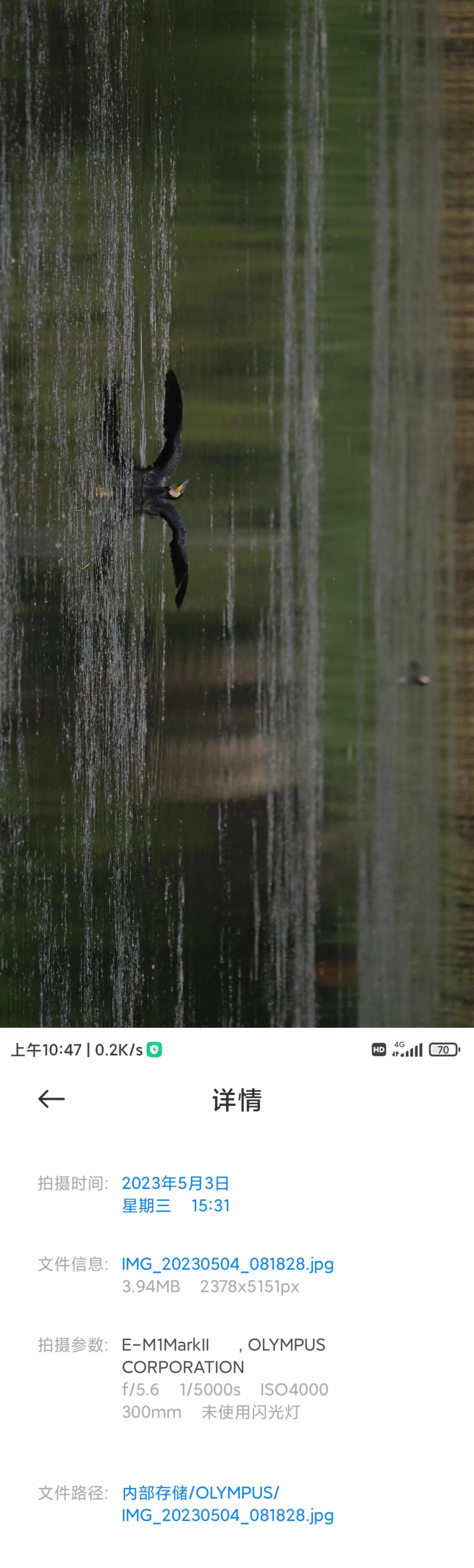 带防抖的长焦镜头500块,防抖长焦镜头推荐500元以下