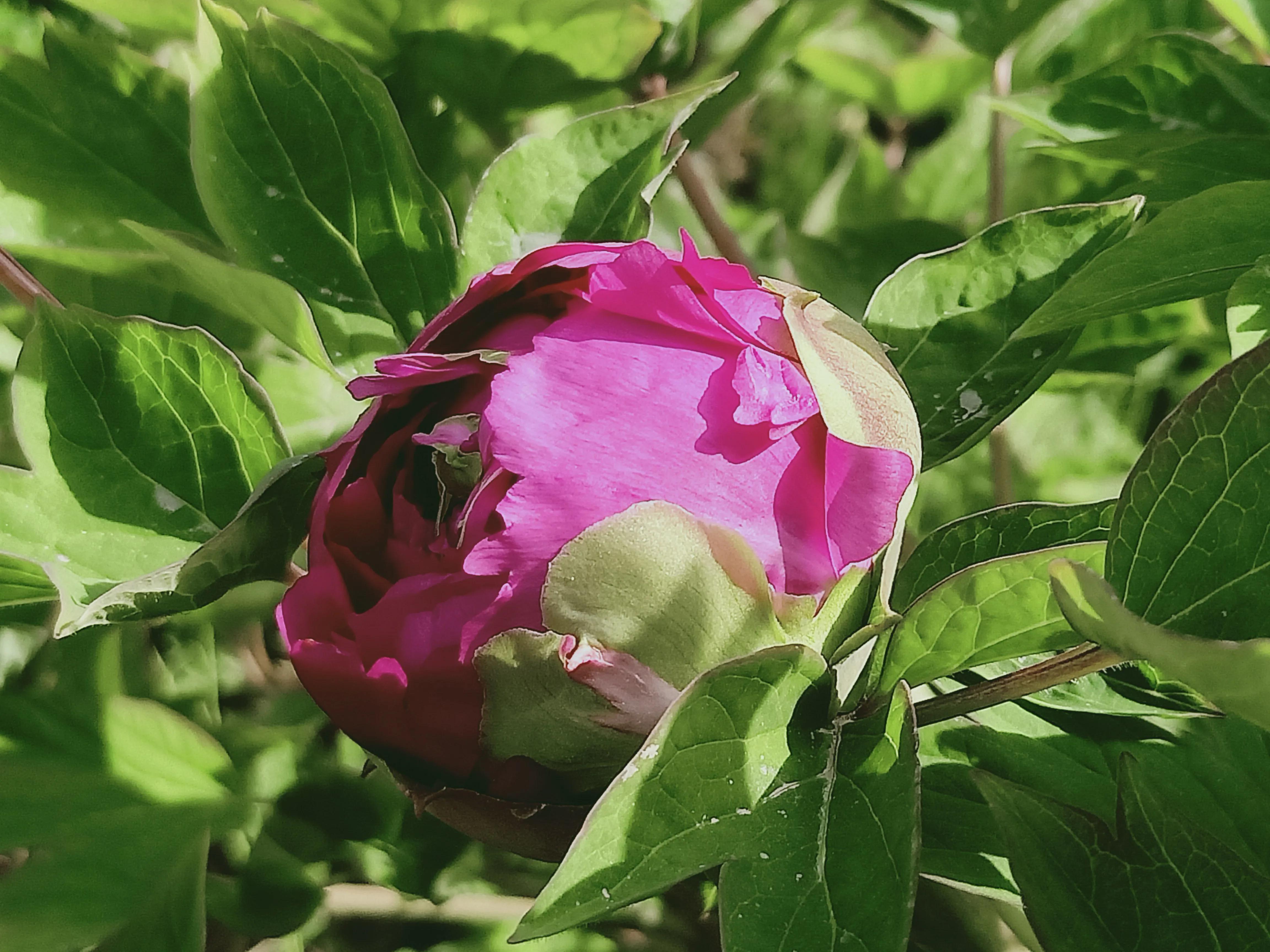 性是第一位的——女人会爱上多个男人合理吗因爱而性、因性而爱