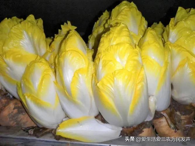 农村适合穷人的18个创业项目赚钱,农村冷门生意赚钱项目