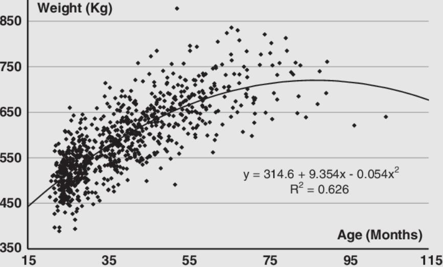 比利时蓝牛怎么繁育,比利时蓝牛长什么样