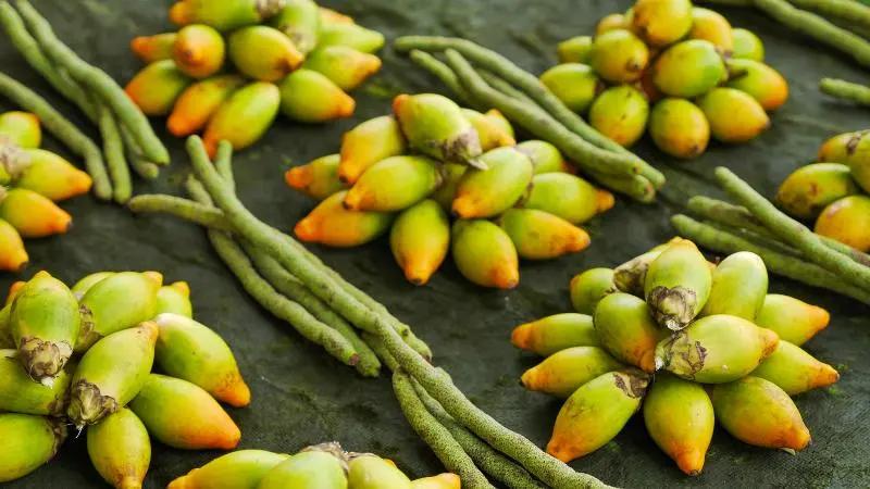 有人说长期吃槟榔能致癌是真的吗,长期吃槟榔对人体有什么危害