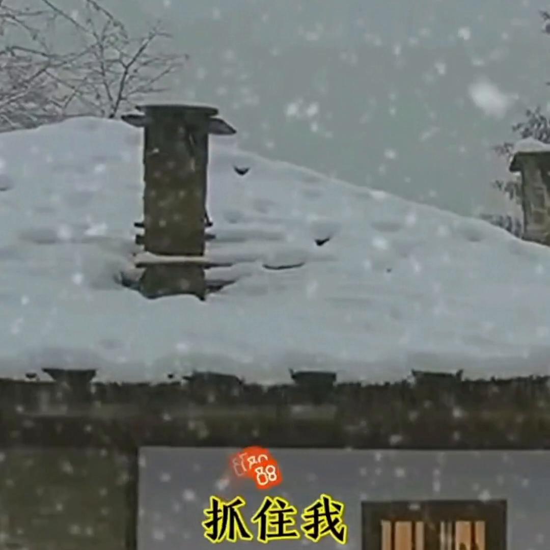 每天更新作品量,每天更新作品会上热门吗