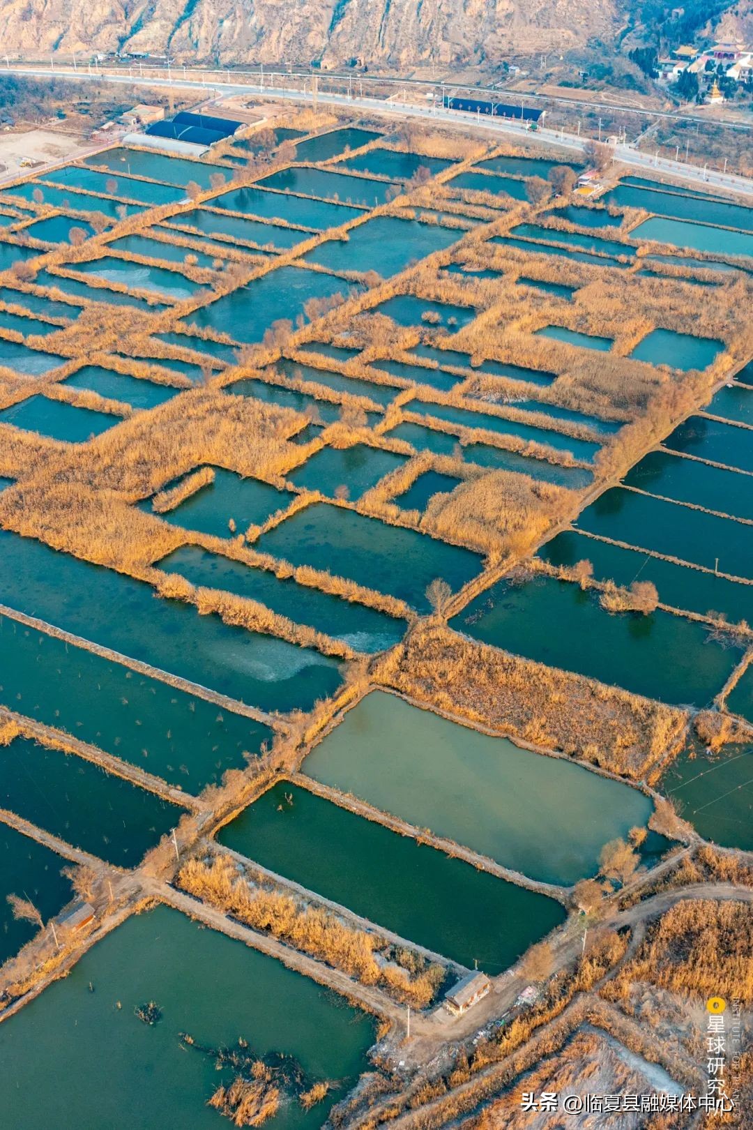 现在甘肃临夏的风景是真美,甘肃临夏风光视频