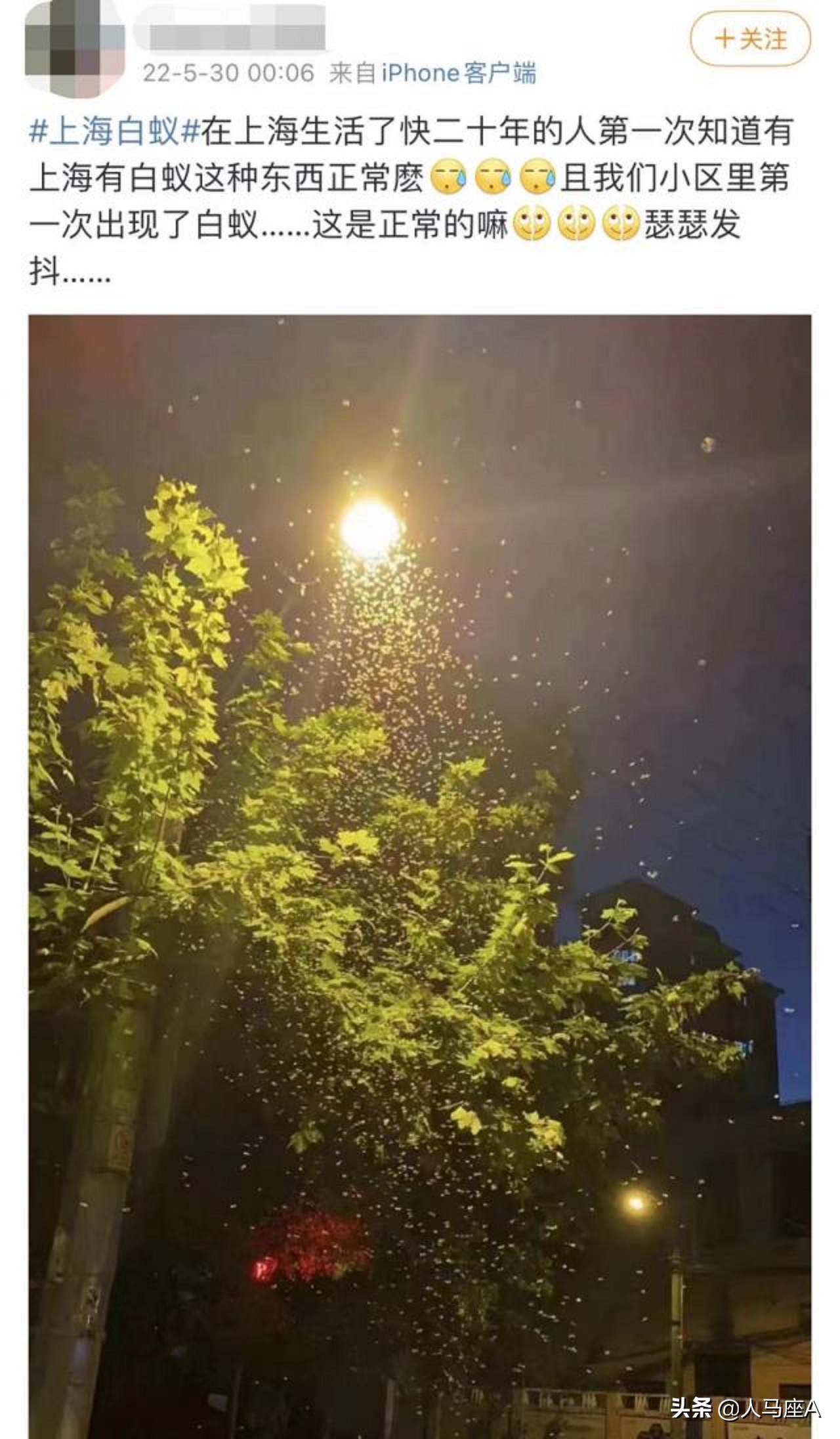 上海白蚁可怕？这种小虫子才厉害！河南3人疑似蜱虫病人传人死亡