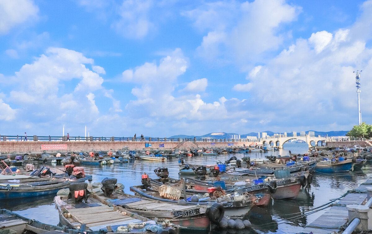 海鲜生蚝什么地方最好,国内哪个城市能实现生蚝自由