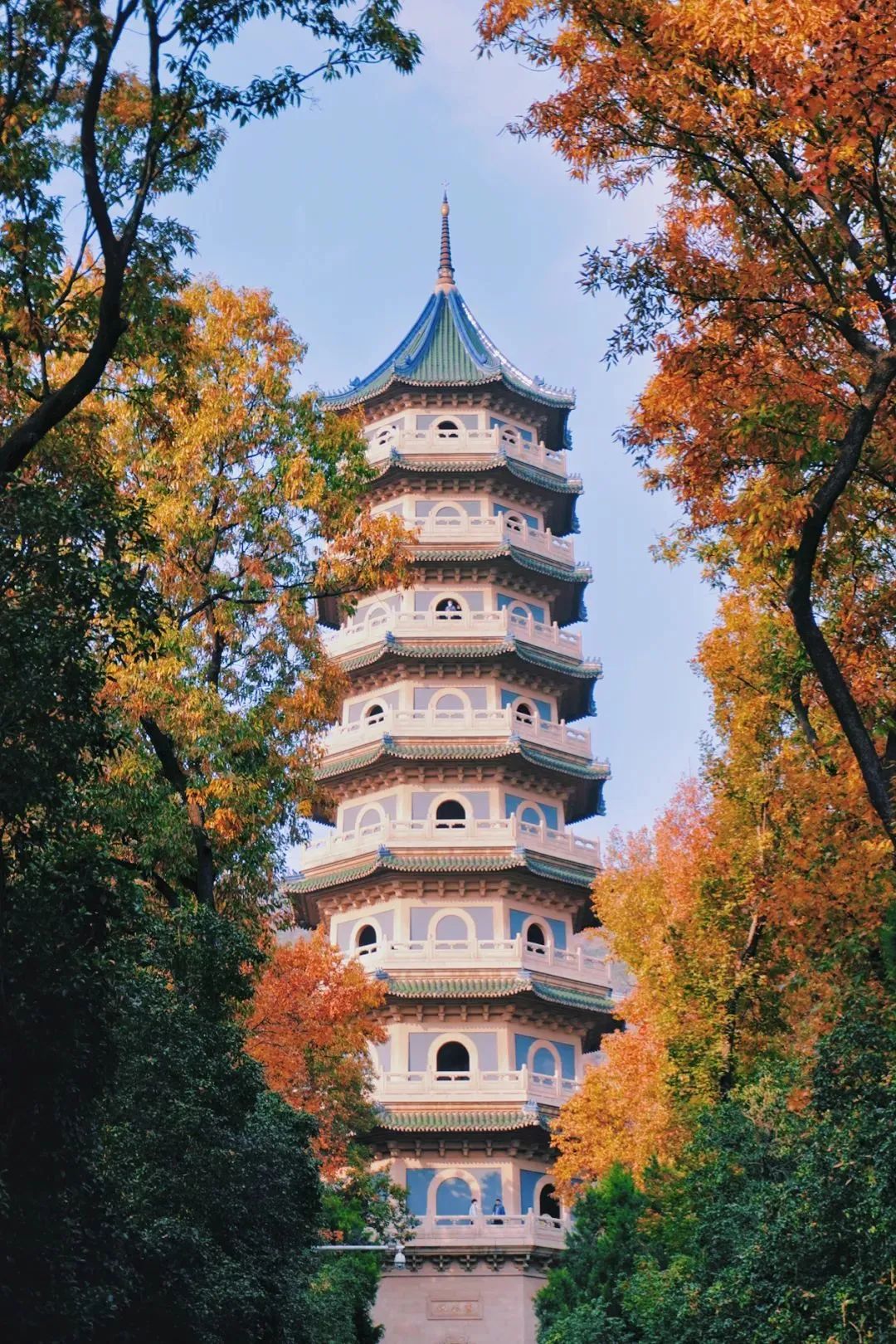 南京的法国梧桐秋天图片,南京法国梧桐秋天