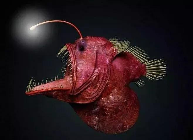 动物交,配时间表,最短0.3秒,最长的竟然是……