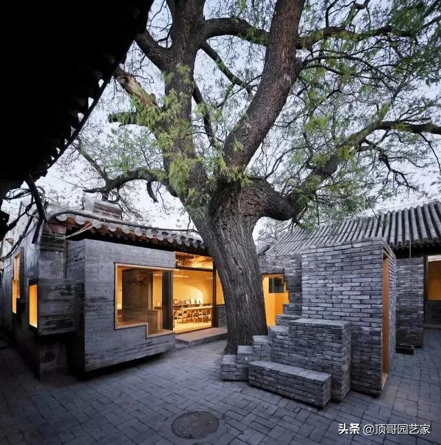 庭院中种什么树最好,庭院栽什么树最旺宅