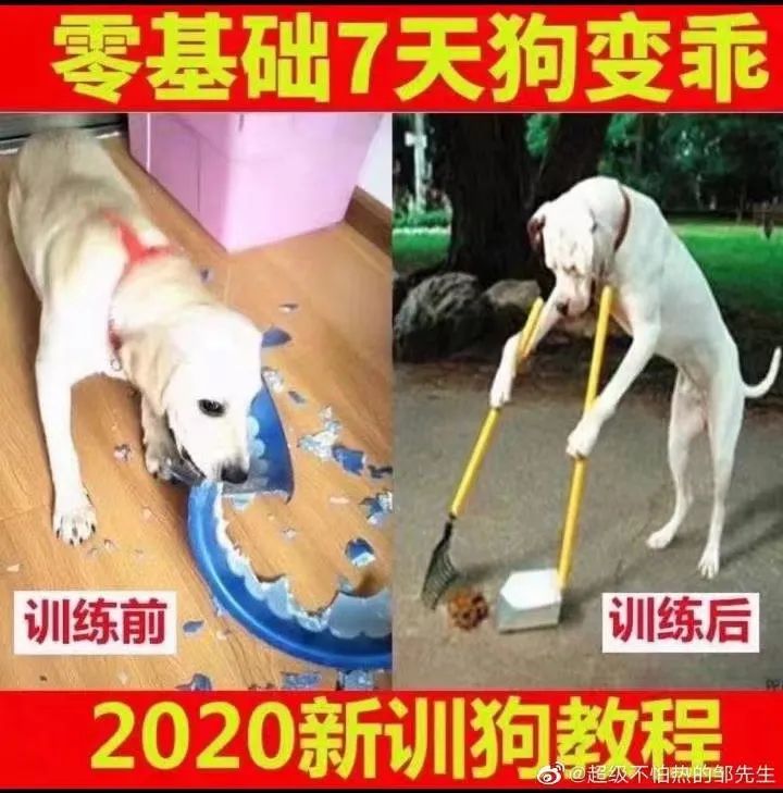 测智商发现自己弱智,测智商显示自己弱智