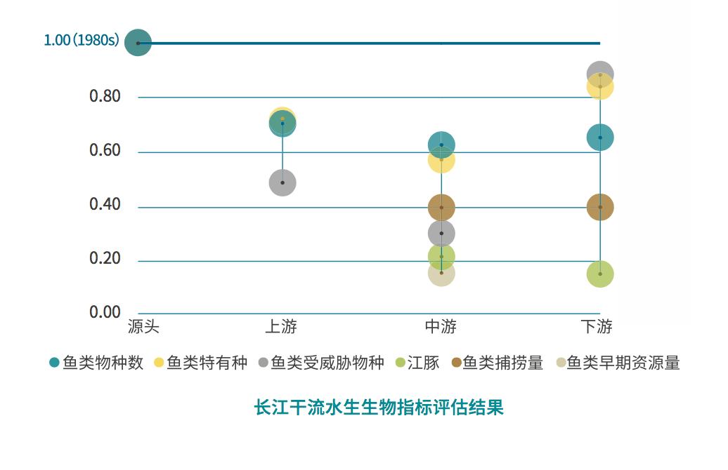 长江十年禁渔为什么鱼越来越少,长江十年禁渔后鱼怎么变多了